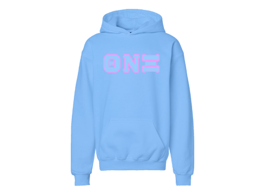 Theta Nu Xi Light Blue Hoodie